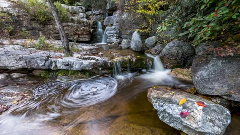 Autumn Pond - Timelapse 4k ProRes Stock Footage 203847341
