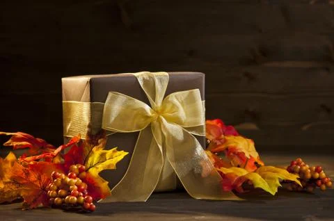 Autumn present Stock Photos