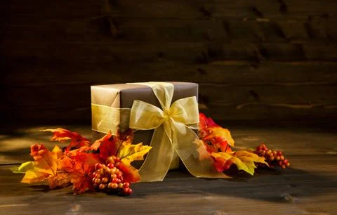 Autumn present Stock Photos