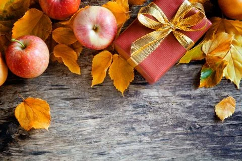 Autumn Present Stock Photos