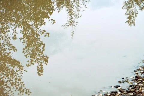 Autumn puddle background Stock Photos
