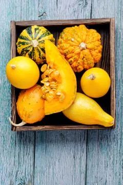 Autumn pumpkin in box Stock Photos