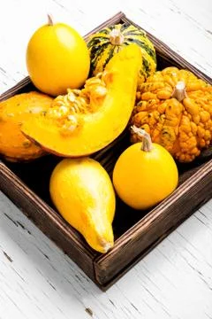 Autumn pumpkin in box Stock Photos