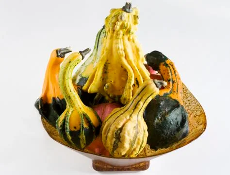 Autumn pumpkin composition Stock Photos