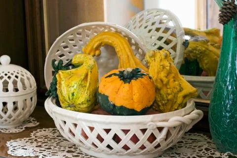 Autumn pumpkin composition Stock Photos