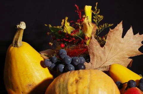Autumn pumpkin composition Stock Photos