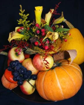 Autumn pumpkin composition Stock Photos