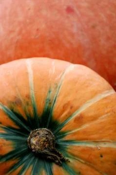 Autumn pumpkin composition Stock Photos