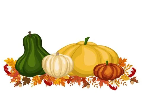 Autumn Pumpkin Display. Stock Illustration