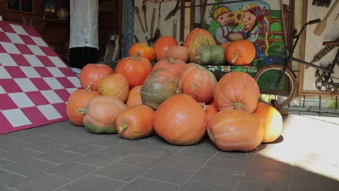 Autumn Pumpkin Display with Rustic Tools and a Vintage Bicycle Stock Footage 348027532
