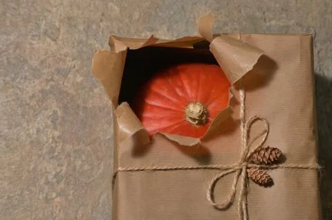 Autumn Pumpkin with Open Present Gift Box Foto stock