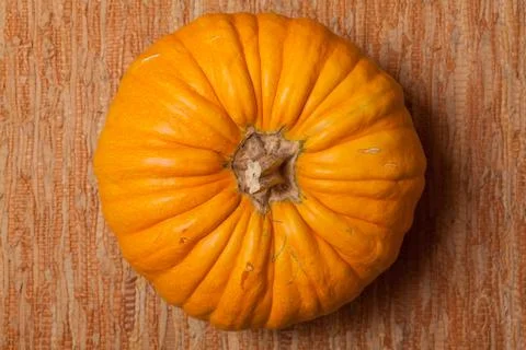 Autumn pumpkin Stock Photos