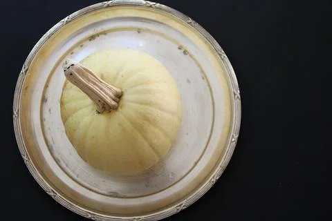 Autumn pumpkin Stock Photos