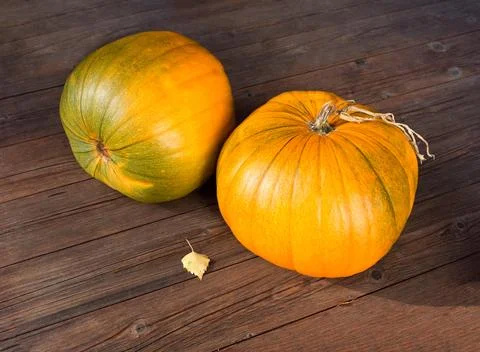 Autumn Pumpkin Stock Photos