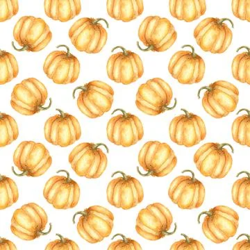 Autumn pumpkin seamless pattern. Orange fall pumpkin harvest ornament on whit Stock Illustration