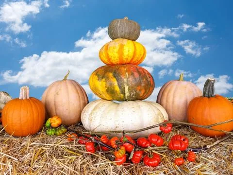 Autumn pumpkin stack on hay bale Stock Photos