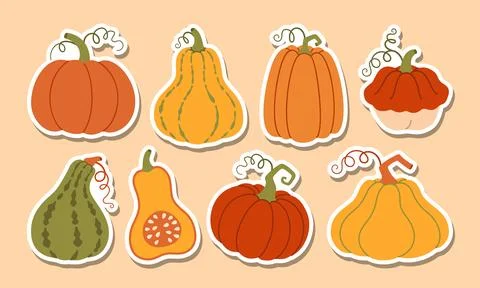 Autumn Pumpkin Sticker Pack Elements Hand Drawn Flat Vector Set Stock Illustration