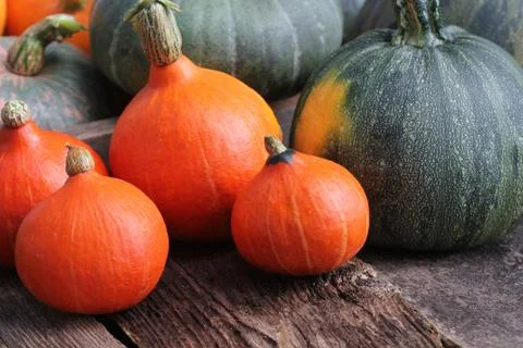 Autumn pumpkin Thanksgiving background concept . Orange and green pumpkins in Stock Photos