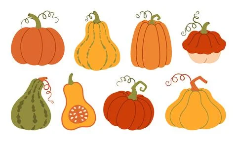 Autumn Pumpkin Vector Element Set Hand Drawn Flat Style Icons Stock Illustration