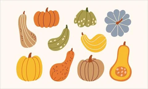 Autumn pumpkin vector elements set with squash butternut and gourd isolated on Stockillustratie