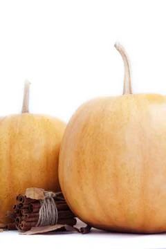 Autumn pumpkin on white background . Stock Photos