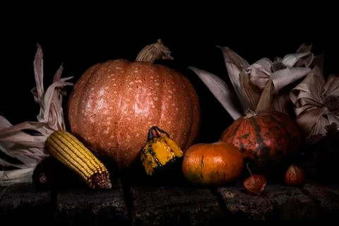 Autumn Pumpkins and Corn On a Rustic Wooden Surface. Thanksgiving Day Concept Stock Photos