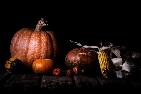 Autumn Pumpkins and Corn On a Rustic Wooden Surface. Thanksgiving Day Concept Stock Photos