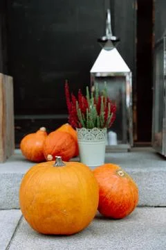 Autumn pumpkins and lantern on rustic front steps in Czech Republic. Cottage Stock Photos