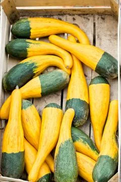 Autumn pumpkins in a box Stock Photos