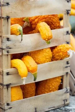 Autumn pumpkins in a box Stock Photos