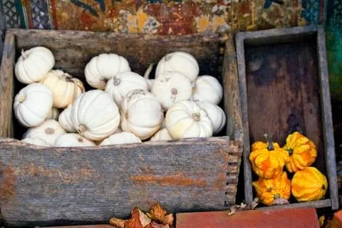 Autumn pumpkins in a boxes Stock Photos
