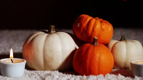 Autumn pumpkins with candles in warm background Stock Footage 259068084