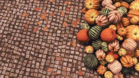 Autumn pumpkins on cobblestone background top view Stock Illustration