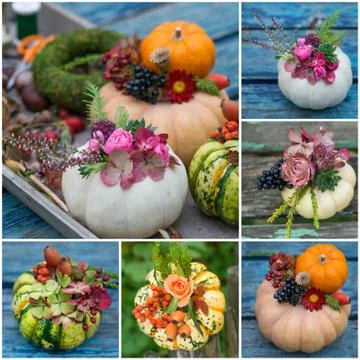 Autumn pumpkins collage 스톡 사진