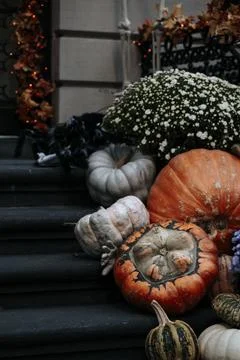 Autumn pumpkins decorated in front door on the steps. Halloween decorations Stock Photos