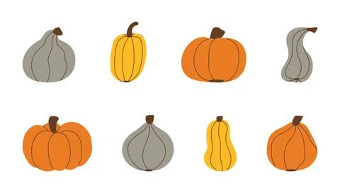 Autumn Pumpkins hand drawn set. Colorful illustration of harvest products o.. Stock Illustration