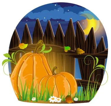 Autumn pumpkins Stock Illustration