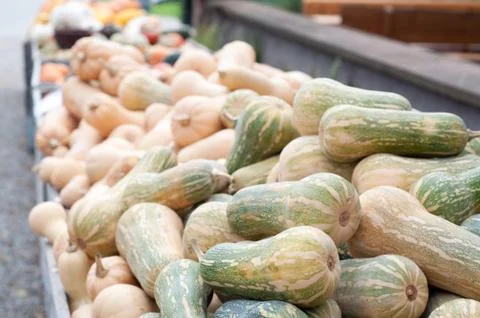 Autumn pumpkins Stock Photos