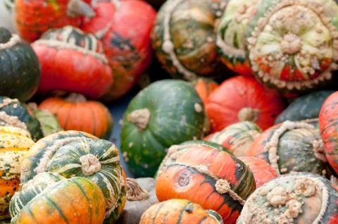 Autumn pumpkins Stock Photos