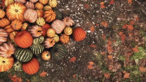 Autumn pumpkins piled on ground close-up top view Stock Illustration