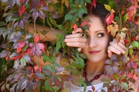 Autumn queen Stock Photos