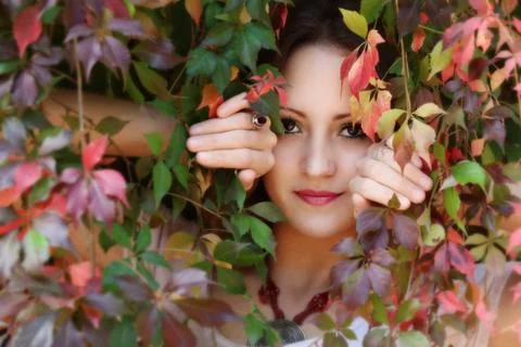 Autumn queen Stock Photos
