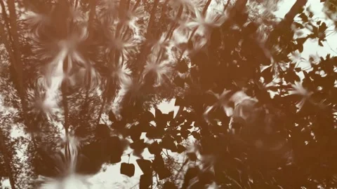 Autumn rain concept Stock Footage 139436119