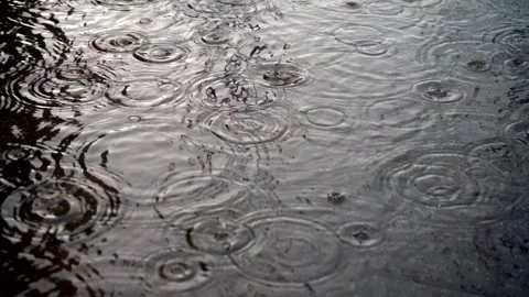 Autumn Rain Falling, Raindrops in Fall Season, Rainy Weather Background Stock Footage 316706648