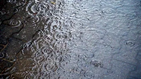 Autumn Rain Falling, Raindrops in Fall Season, Rainy Weather Background Stock Footage 316706651