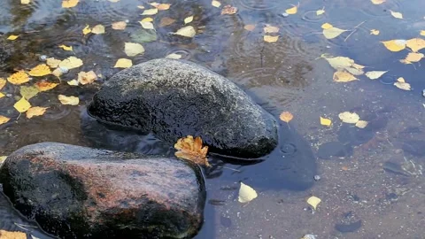 Autumn rain falling on water surface creating ripples around two large rocks Stock Footage 325697383