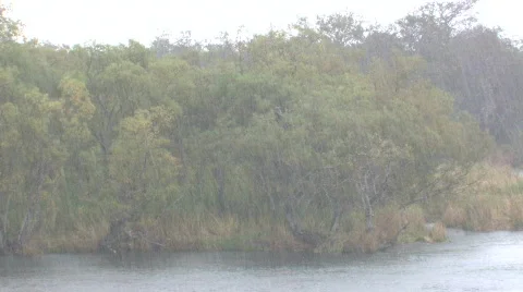 Autumn. Rain. Video stock 707639