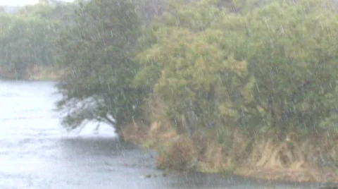 Autumn. Rain. Video stock 707667