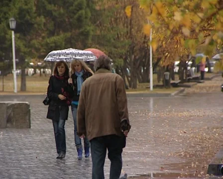 Autumn rain Vídeo Stock 1929640