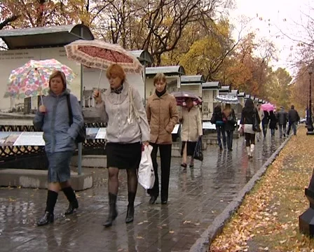 Autumn rain Stock Footage